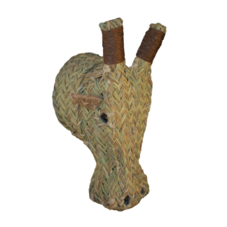 cabeza de jirafa