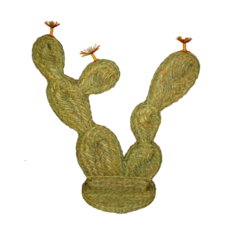 chumbera
