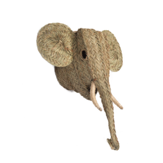 Cabeza de elefante
