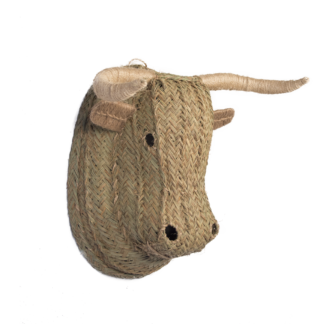 cabeza de toro