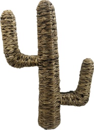 Cactus seagrass