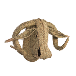 cabeza de búfalo