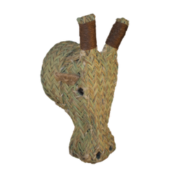 cabeza de jirafa