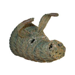 cabeza de cerdo