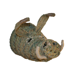 cabeza de Jabalí