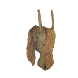 cabeza de caballo
