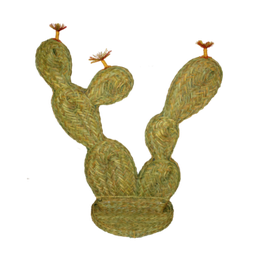 chumbera